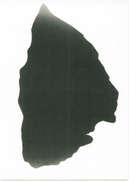 Xaver Hirsch